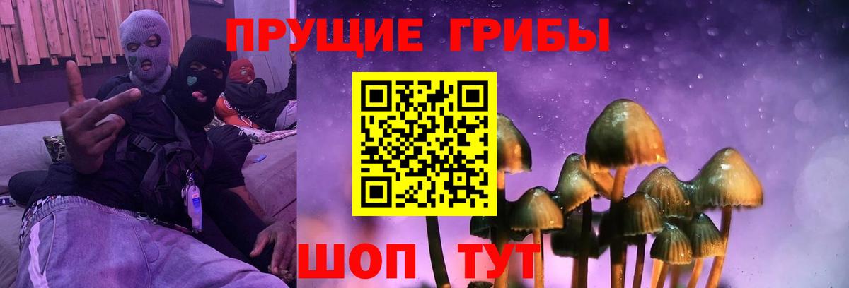 Псилоцибиновые грибы GOLDEN TEACHER  Вход с VPN  Орёл 